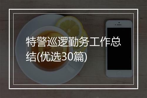 特警巡逻勤务工作总结(优选30篇)