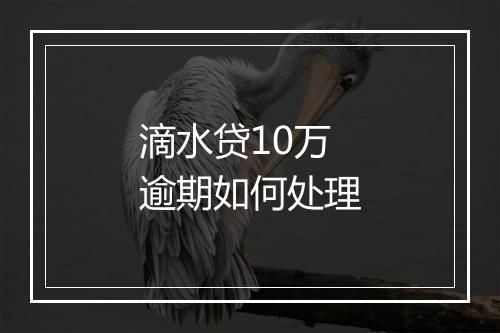 滴水贷10万逾期如何处理