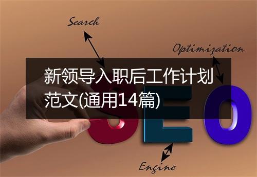 新领导入职后工作计划范文(通用14篇)