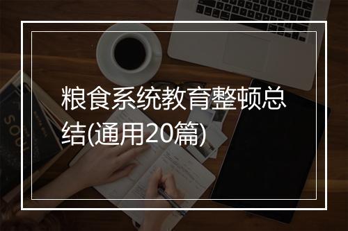 粮食系统教育整顿总结(通用20篇)