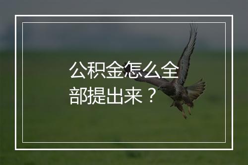 公积金怎么全部提出来？