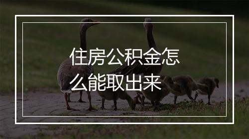 住房公积金怎么能取出来