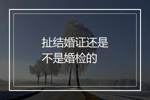 扯结婚证还是不是婚检的