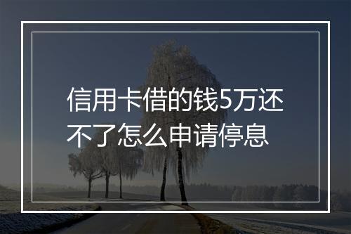 信用卡借的钱5万还不了怎么申请停息