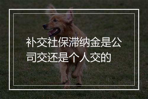补交社保滞纳金是公司交还是个人交的