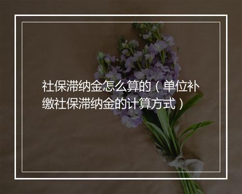社保滞纳金怎么算的（单位补缴社保滞纳金的计算方式）