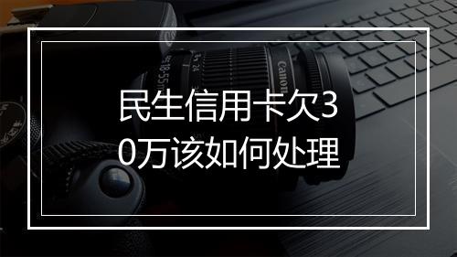 民生信用卡欠30万该如何处理