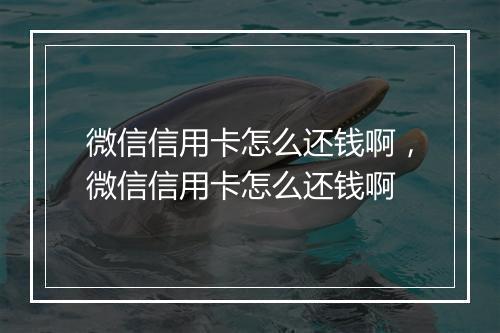 微信信用卡怎么还钱啊，微信信用卡怎么还钱啊