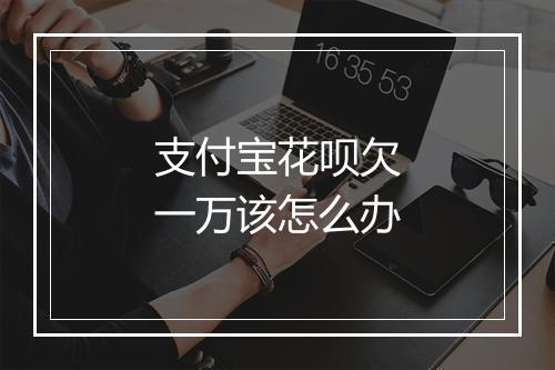 支付宝花呗欠一万该怎么办