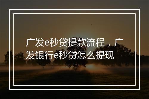 广发e秒贷提款流程，广发银行e秒贷怎么提现