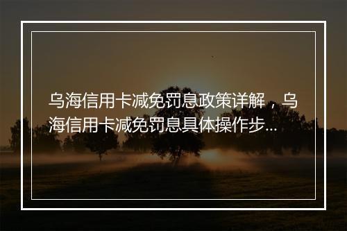 乌海信用卡减免罚息政策详解，乌海信用卡减免罚息具体操作步骤