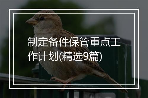 制定备件保管重点工作计划(精选9篇)