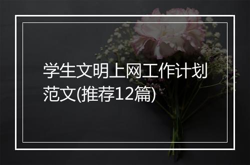 学生文明上网工作计划范文(推荐12篇)