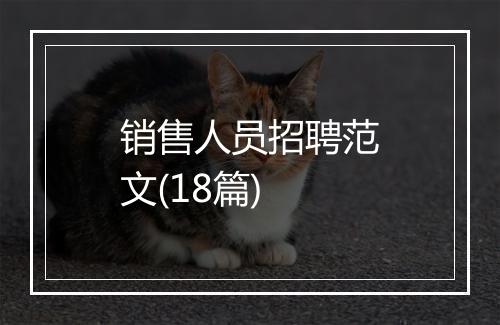 销售人员招聘范文(18篇)