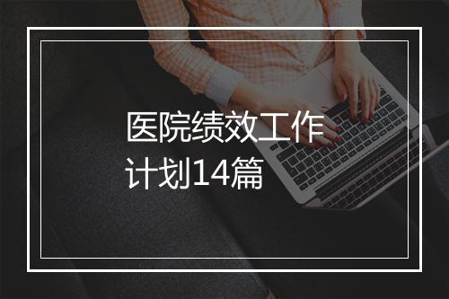医院绩效工作计划14篇