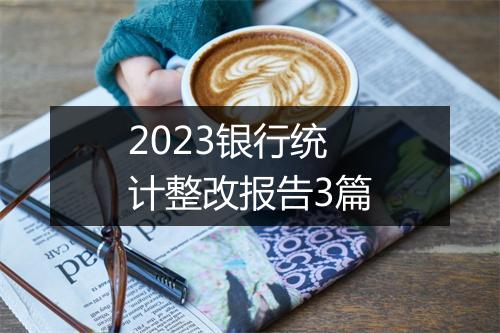 2023银行统计整改报告3篇