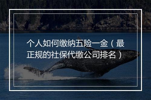 个人如何缴纳五险一金（最正规的社保代缴公司排名）