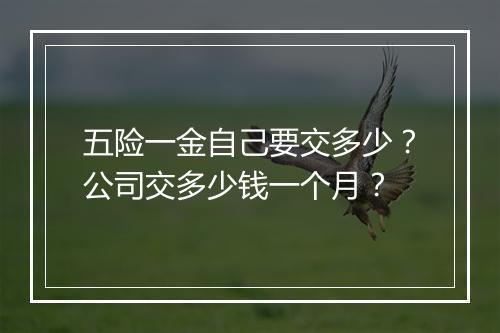 五险一金自己要交多少？公司交多少钱一个月？