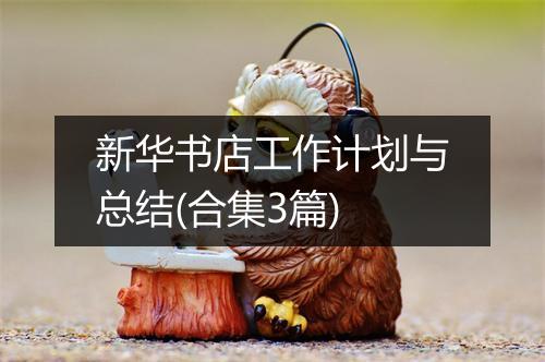 新华书店工作计划与总结(合集3篇)