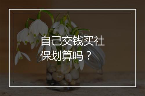 自己交钱买社保划算吗？