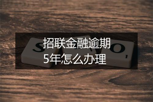 招联金融逾期5年怎么办理