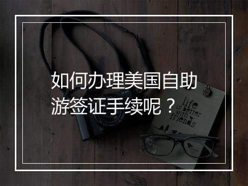 如何办理美国自助游签证手续呢？