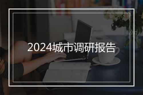 2024城市调研报告