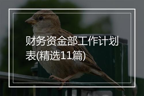 财务资金部工作计划表(精选11篇)