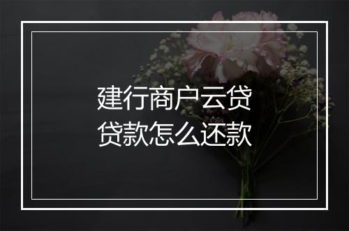 建行商户云贷贷款怎么还款