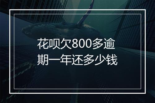 花呗欠800多逾期一年还多少钱