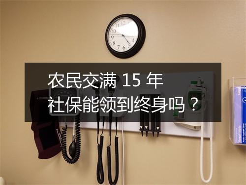 农民交满 15 年社保能领到终身吗？