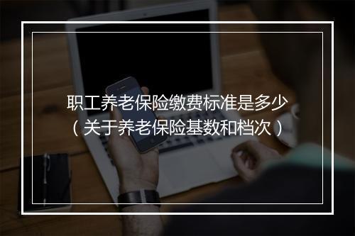 职工养老保险缴费标准是多少（关于养老保险基数和档次）