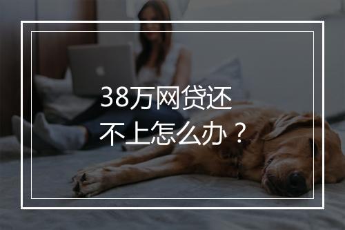 38万网贷还不上怎么办？