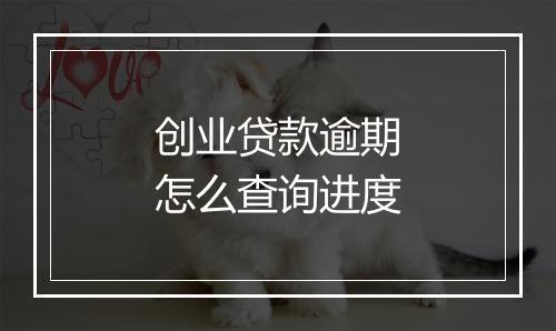 创业贷款逾期怎么查询进度