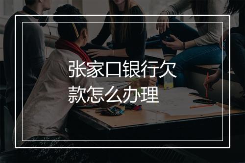 张家口银行欠款怎么办理
