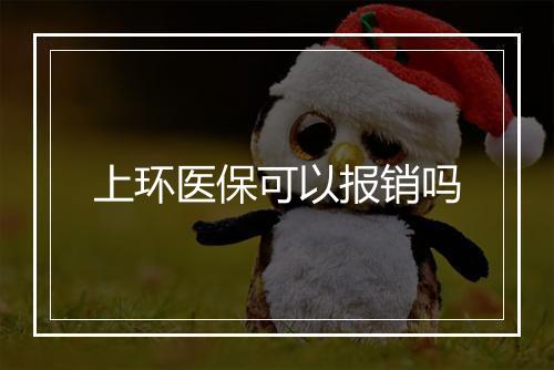 上环医保可以报销吗