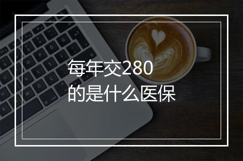 每年交280的是什么医保