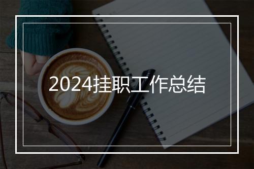2024挂职工作总结