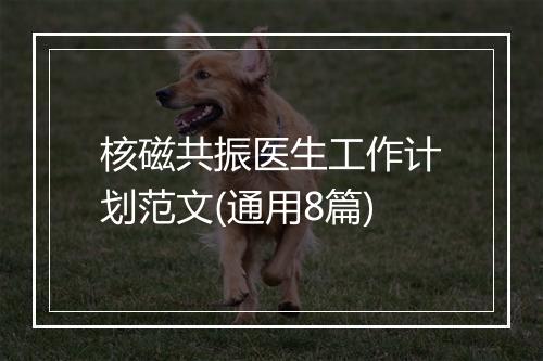核磁共振医生工作计划范文(通用8篇)