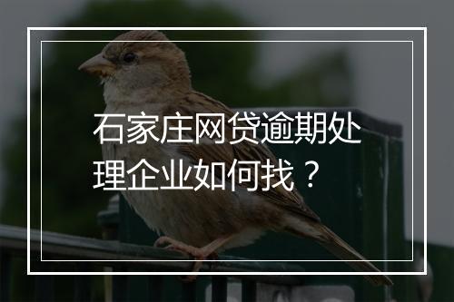 石家庄网贷逾期处理企业如何找？