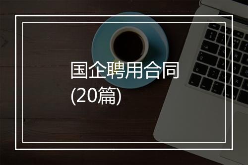 国企聘用合同(20篇)