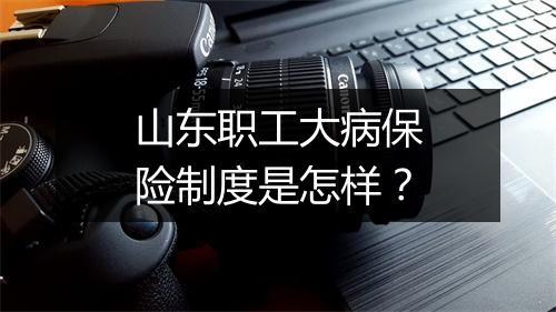 山东职工大病保险制度是怎样？