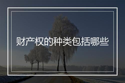 财产权的种类包括哪些