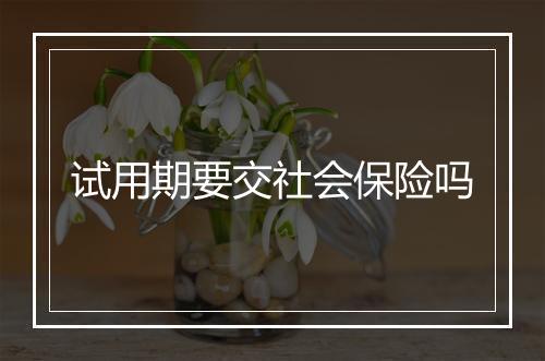 试用期要交社会保险吗