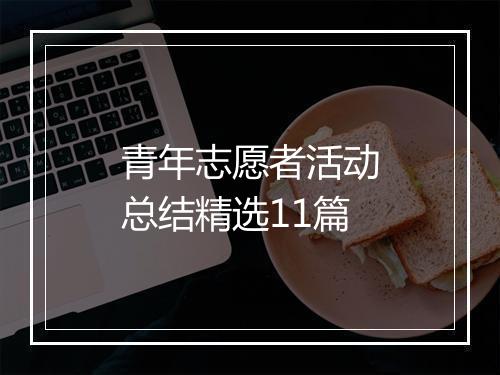 青年志愿者活动总结精选11篇