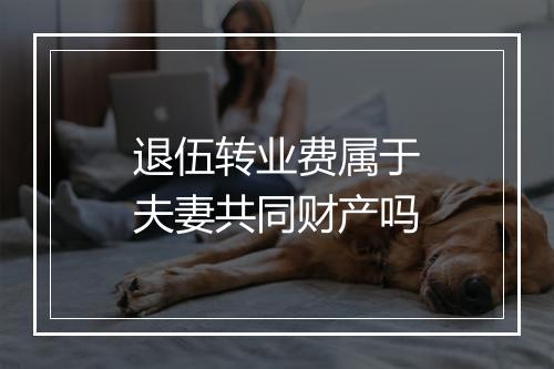 退伍转业费属于夫妻共同财产吗