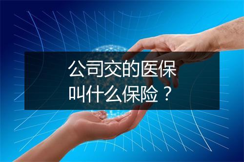 公司交的医保叫什么保险？
