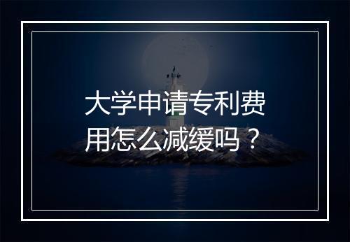 大学申请专利费用怎么减缓吗？