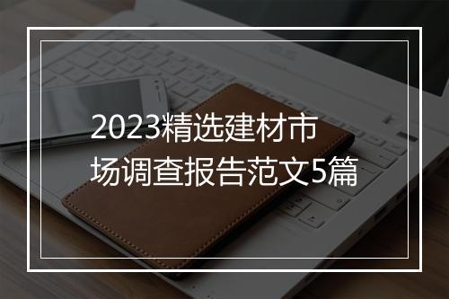 2023精选建材市场调查报告范文5篇