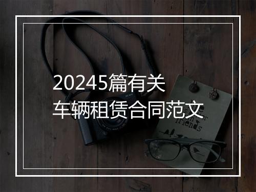 20245篇有关车辆租赁合同范文